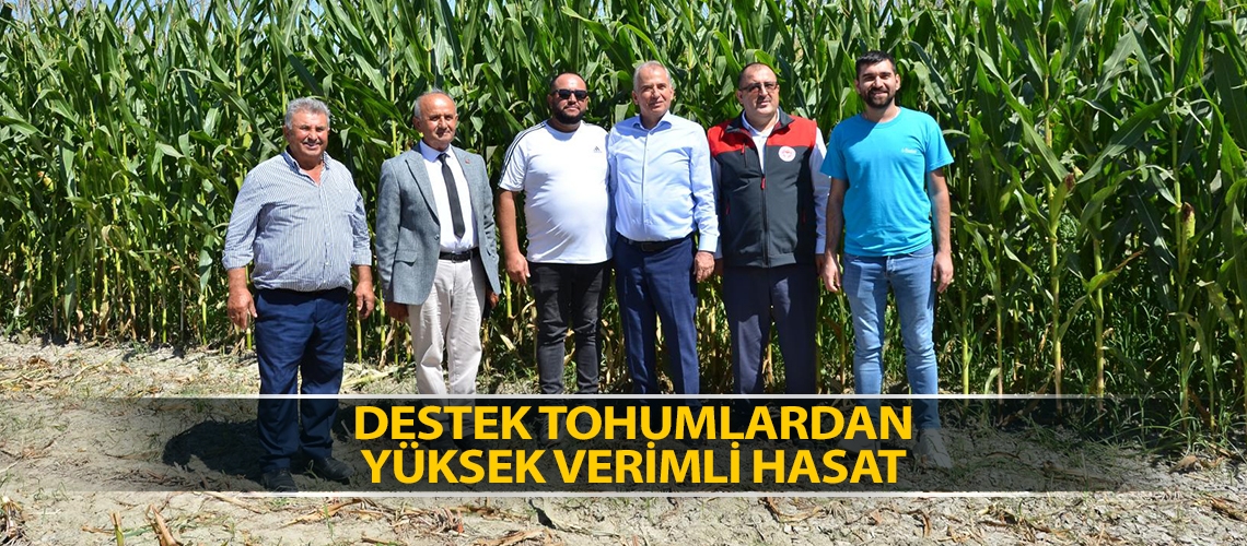 Destek tohumlardan yüksek verimli hasat