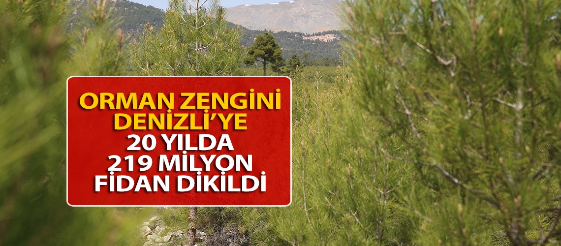 Orman zengini Denizli’ye 20 yılda 219 milyon fidan dikildi