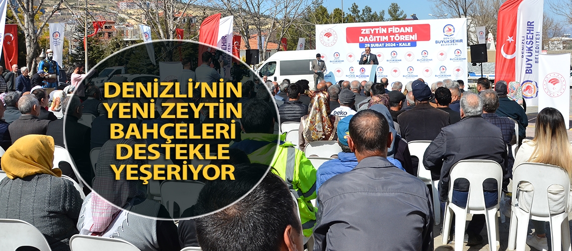 Denizli’nin yeni zeytin bahçeleri destekle yeşeriyor