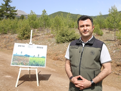 Orman zengini Denizli’ye 20 yılda 219 milyon fidan dikildi