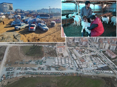 Depremin tarımsal üretimde açtığı yaralar desteklerle sarılıyor