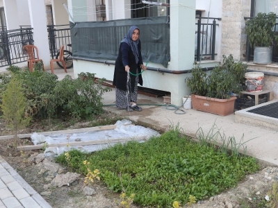 Depremzede kadın yeni yuvasını sebzelerle güzelleştirdi