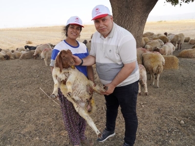 Depremzede besici yeniden sürü sahibi oldu