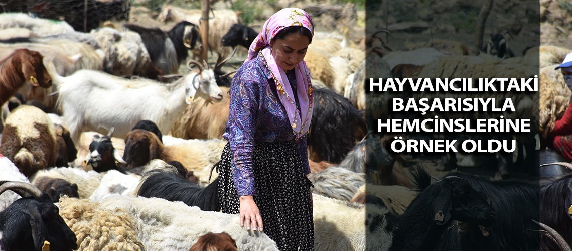 Hayvancılıktaki başarısıyla hemcinslerine örnek oldu