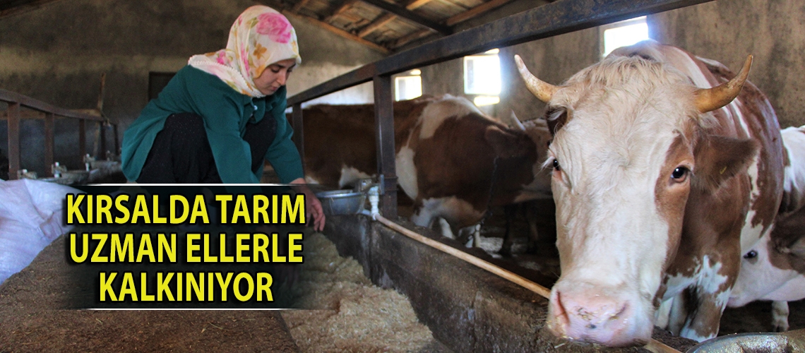 Kırsalda tarım uzman ellerle kalkınıyor