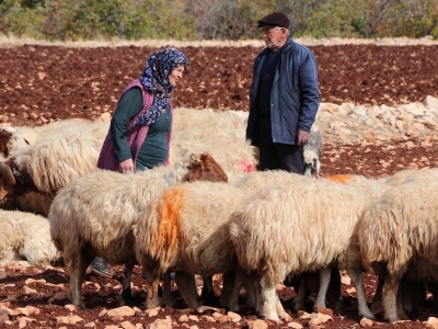 Kırsaldaki aile işletmeleri için yeni destekler yolda