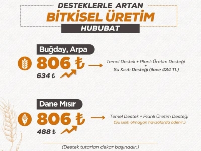 Bitkisel üretimde destekler belirlendi