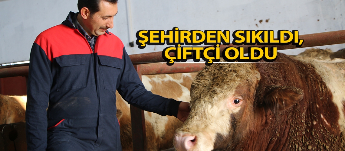 Şehirden sıkıldı, çiftçi oldu