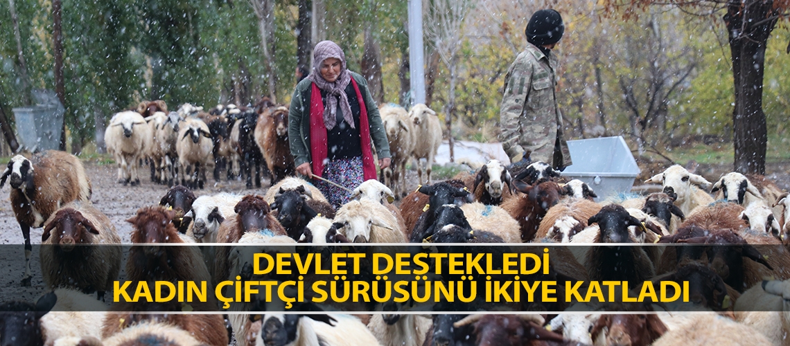 Devlet destekledi kadın çiftçi sürüsünü ikiye katladı