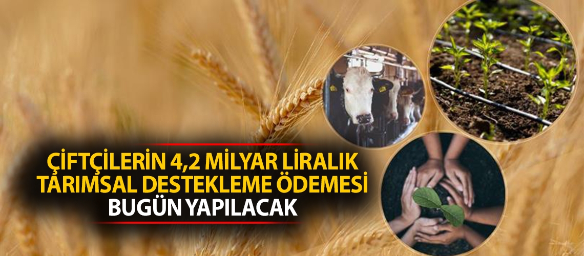 Çiftçilerin 4,2 milyar liralık tarımsal destekleme ödemesi bugün yapılacak