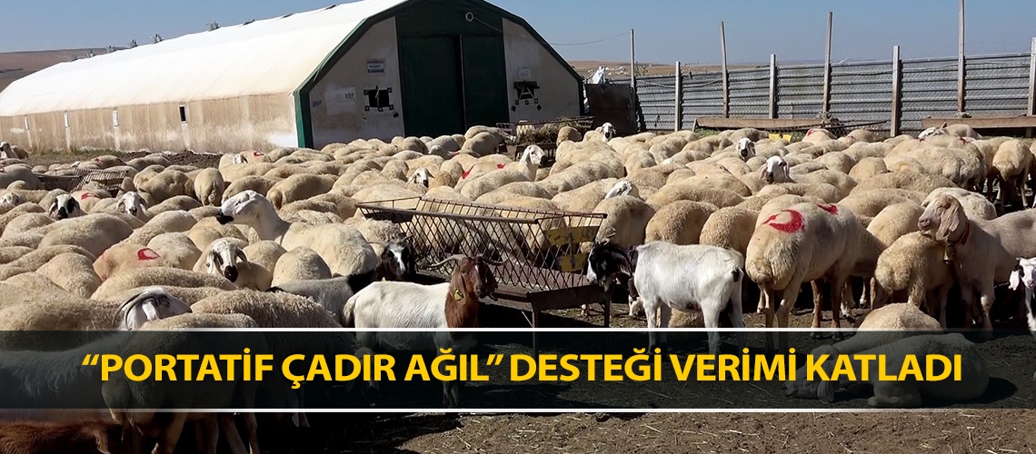 “Portatif Çadır Ağıl” desteği verimi katladı