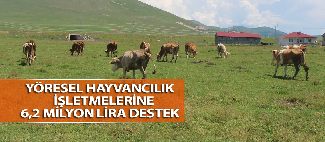 Yöresel hayvancılık işletmelerine 6,2 milyon lira destek