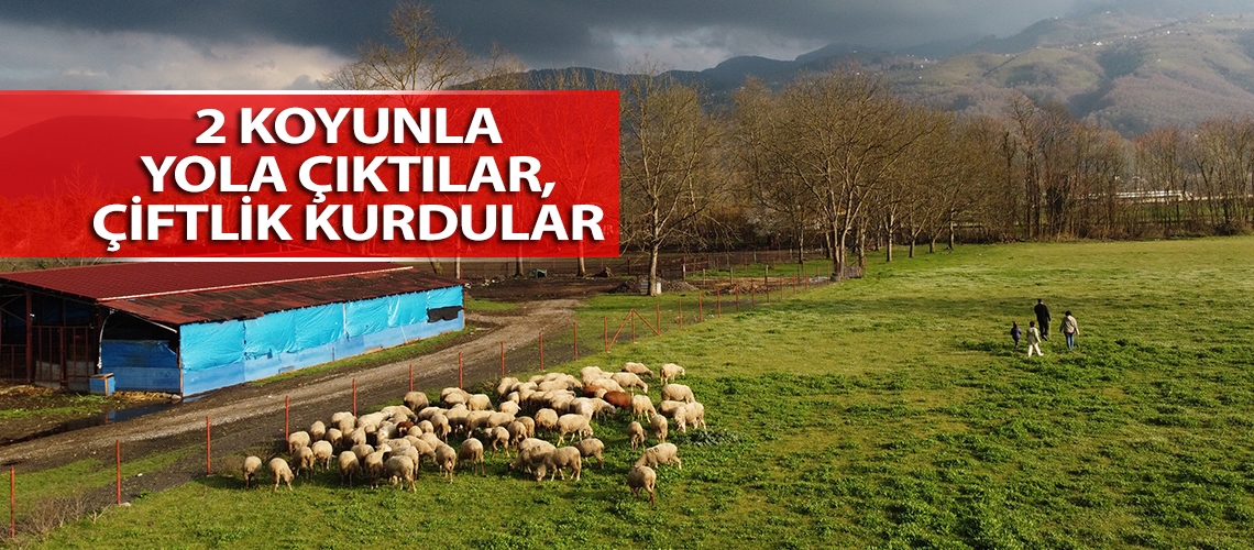 2 koyunla yola çıktılar, çiftlik kurdular