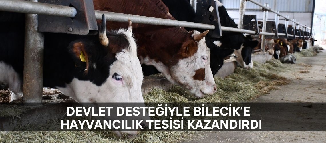Devlet desteğiyle Bilecik’e hayvancılık tesisi kazandırdı