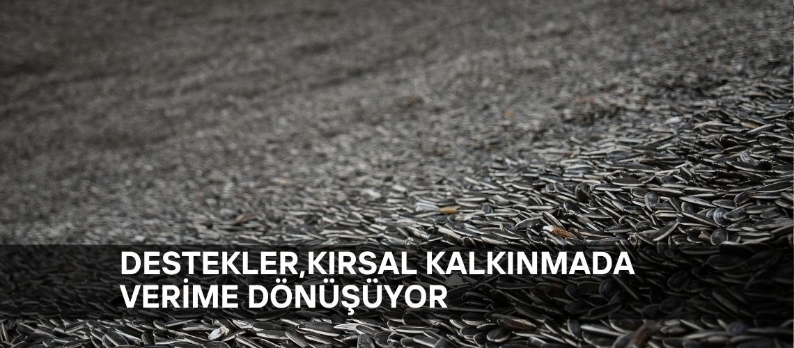 Destekler, kırsal kalkınmada verime dönüşüyor
