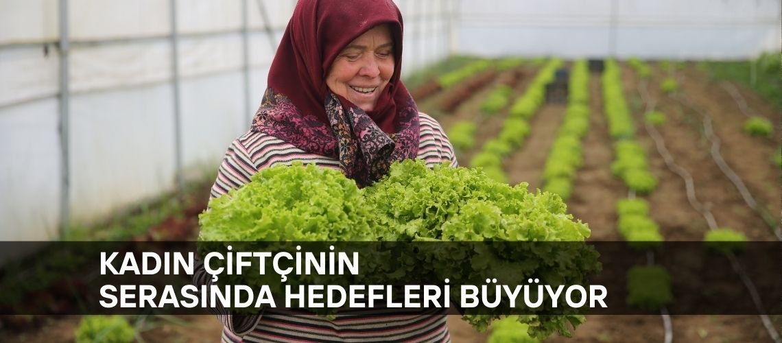 Kadın çiftçinin serasında hedefleri büyüyor