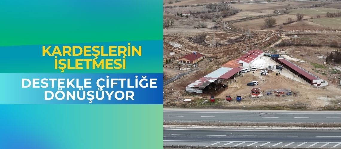 Kardeşlerin işletmesi destekle çiftliğe dönüşüyor