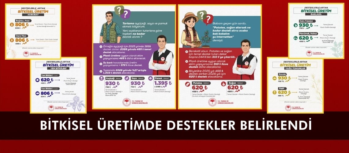 Bitkisel üretimde destekler belirlendi