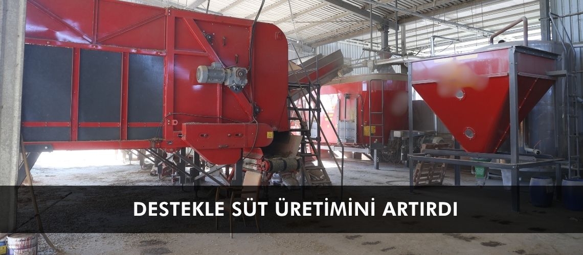 Destekle süt üretimini artırdı