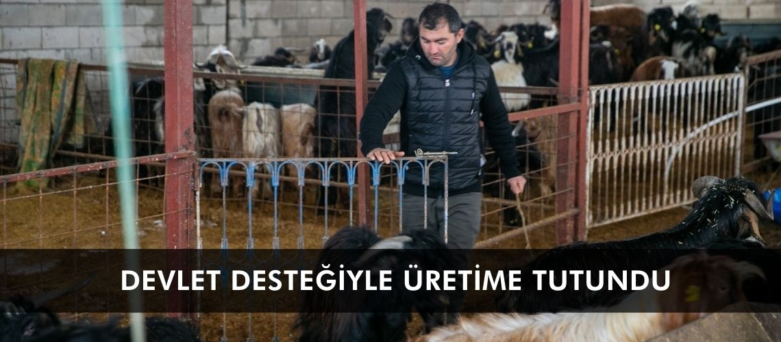 Devlet desteğiyle üretime tutundu