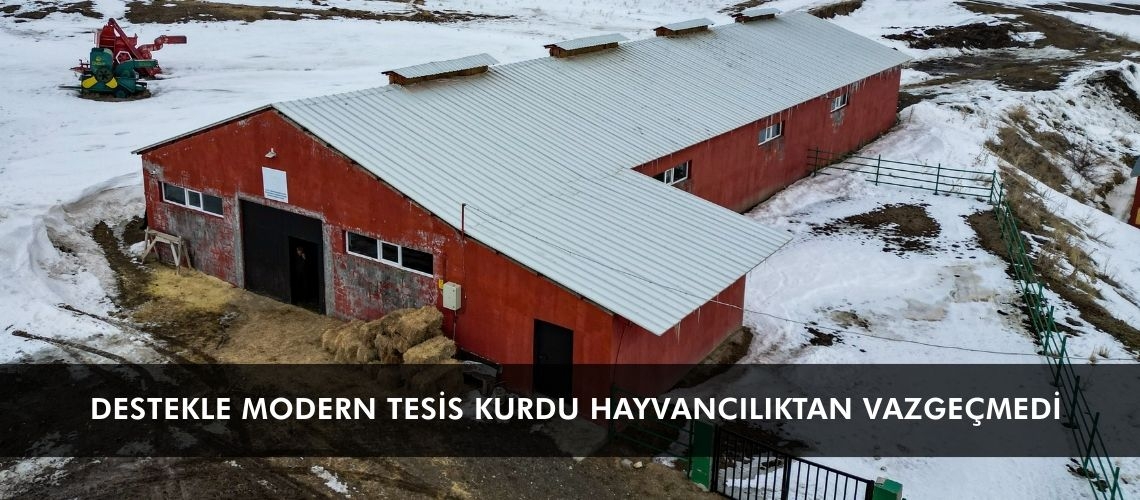 Destekle modern tesis kurdu hayvancılıktan vazgeçmedi