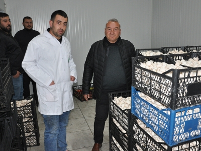 Destek TKDK’dan, mantar tesisi çiftçiden…