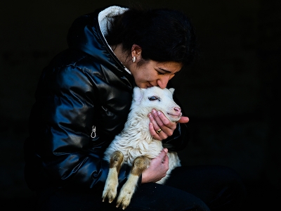 Kadın çiftçi yatırımı kendi köyüne yaptı