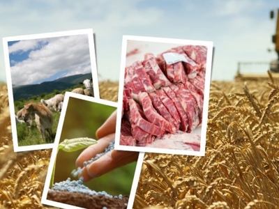 32 milyon liralık destekleme ödemesi bugün hesaplara aktarılacak