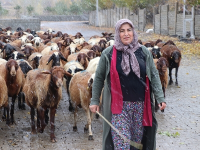 Devlet destekledi kadın çiftçi sürüsünü ikiye katladı