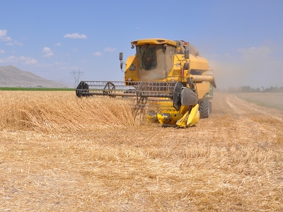 Bitkisel üretimde 2023 destekleri açıklandı