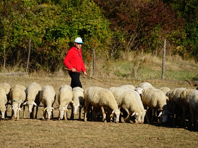 Köyüne dönen genç girişimci gelirini artırdı