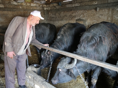 Destekle başladığı işini büyütmeyi hedefliyor