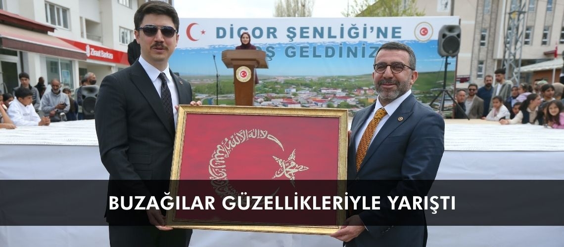 Buzağılar güzellikleriyle yarıştı