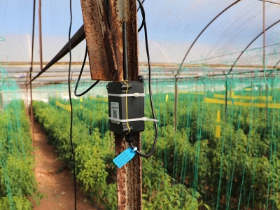 Seralarda don nöbetine dijital çözüm