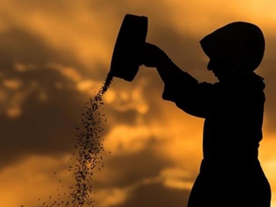 Kadın çiftçilere eğitim desteği