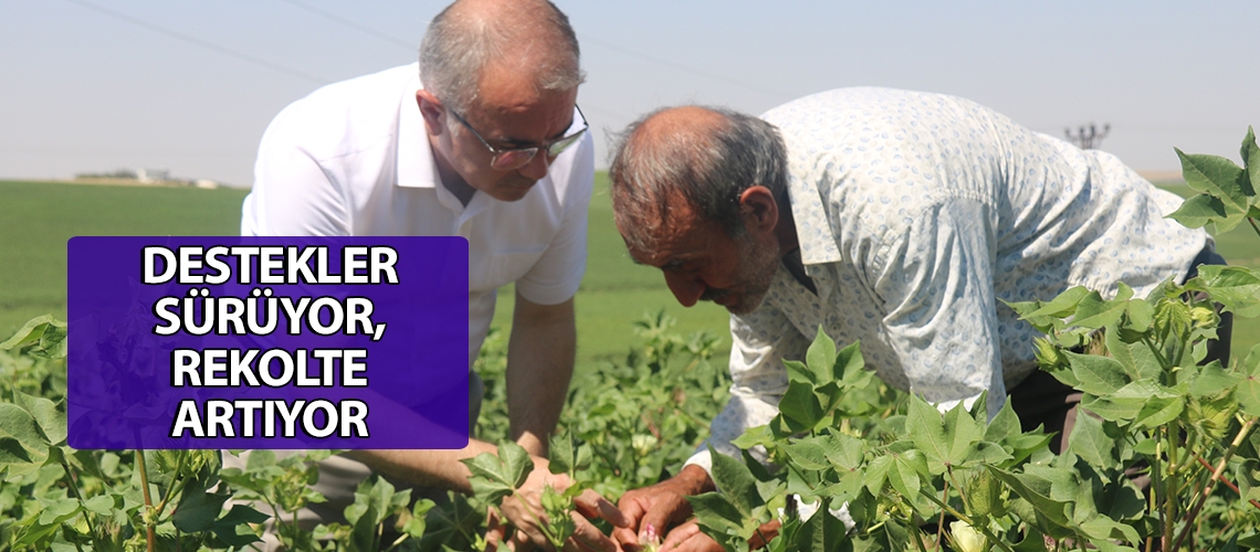 Destekler sürüyor, rekolte artıyor