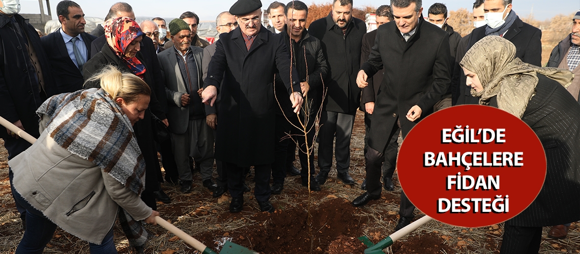 Eğil’de bahçelere fidan desteği