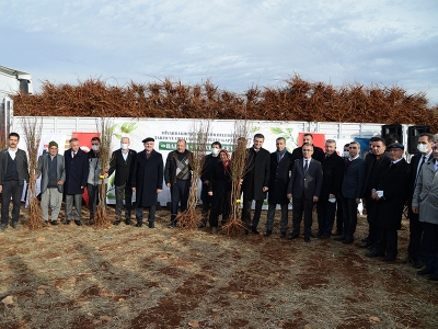 Eğil’de bahçelere fidan desteği