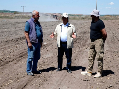 Pamuk ekimi artıyor, rekolte katlanıyor