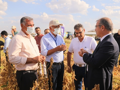 Soyanın deneme ekiminde bereketli hasat