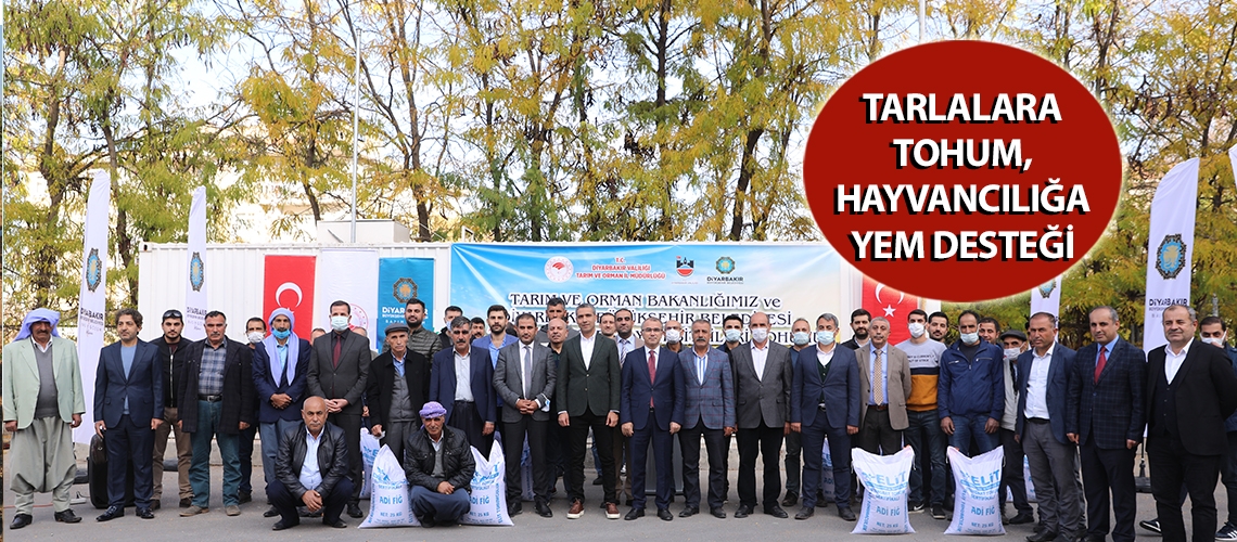 Tarlalara tohum, hayvancılığa yem desteği