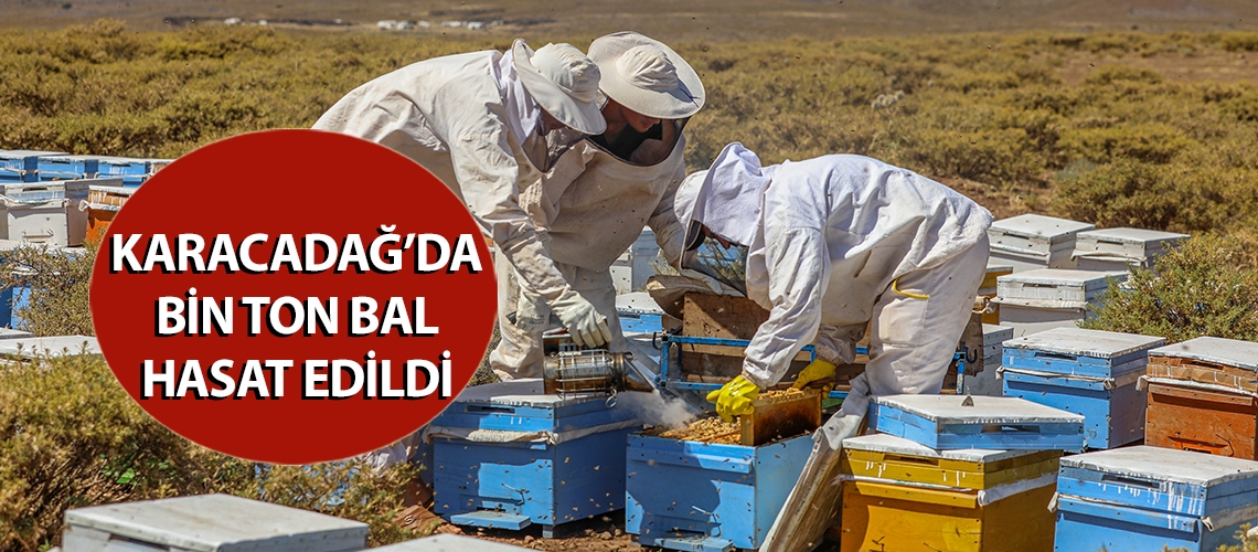 Karacadağ’da bin ton bal hasat edildi