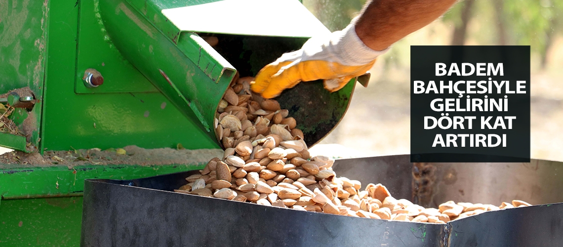 Badem bahçesiyle gelirini dört kat artırdı