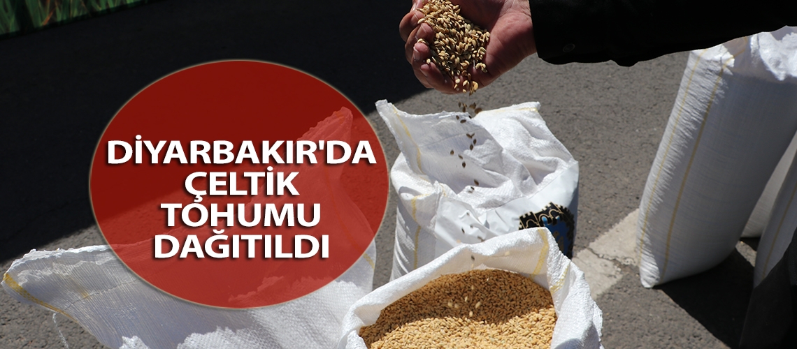 Diyarbakır'da çeltik tohumu dağıtıldı