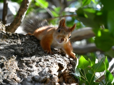 Doğadan eşsiz manzaralar