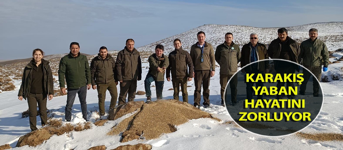 Karakış yaban hayatını zorluyor