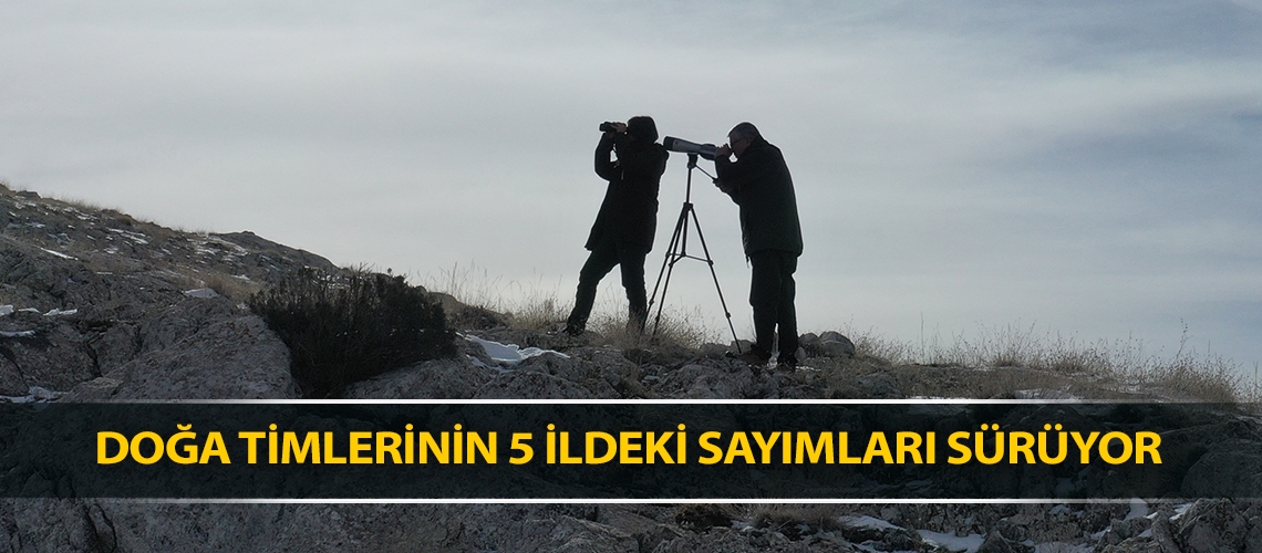 Doğa timlerinin 5 ildeki sayımları sürüyor