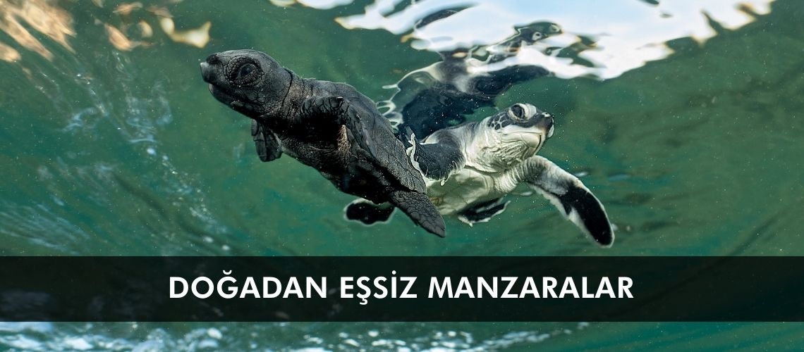 Doğadan eşsiz manzaralar