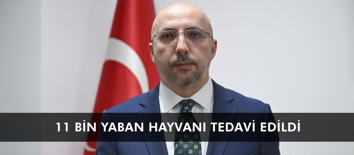 11 bin yaban hayvanı tedavi edildi