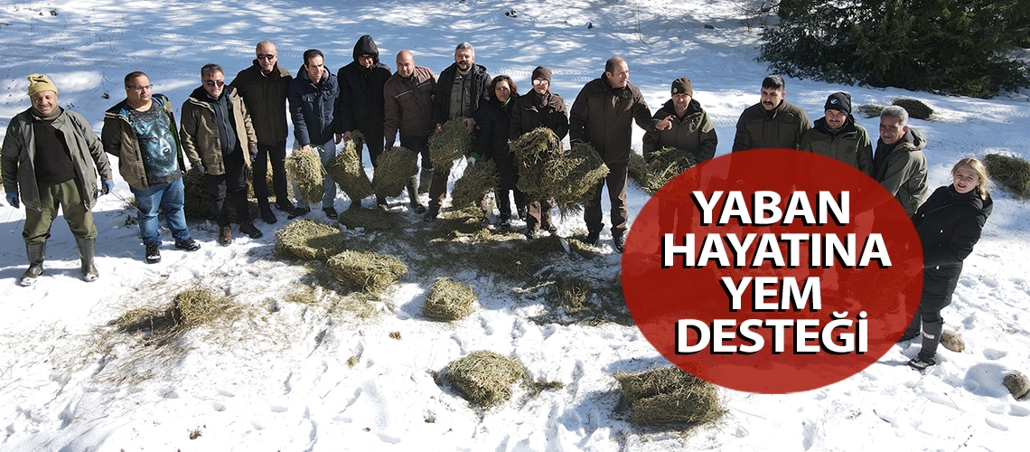 Yaban hayatına yem desteği